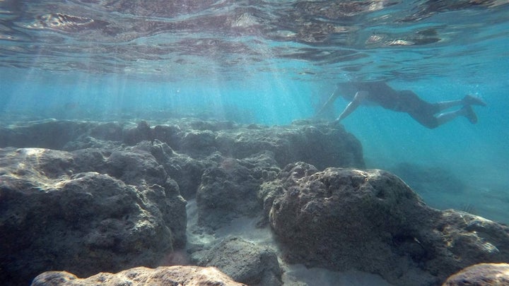 <p>A snorkeler swims around dead corals in Oahu. Hawaii became the first state to ban the sale of sunscreen with oxybenzone and octinoxate, two chemicals that may harm coral reefs. </p>