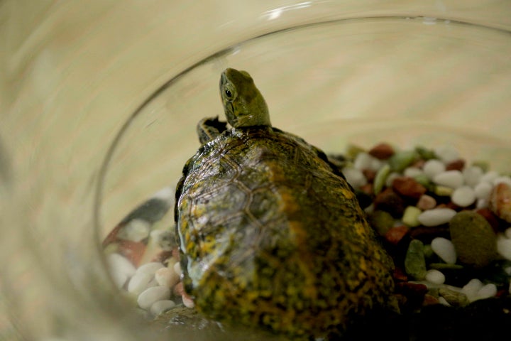 カメラを止めるな の上田慎一郎監督 新作映画の公開決定 提供写真には謎の カメ ハフポスト アートとカルチャー カメラを止めるな の上田慎一郎監督 新作映画の公開決定 提供写真には謎の カメ ハフポスト アートとカルチャー