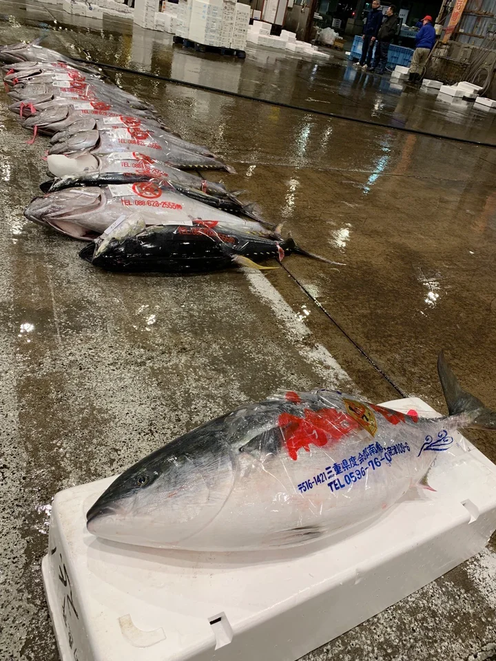 出世しすぎた25 のブリが卸売市場に並ぶ 養殖ブリの5倍の大きさ マグロのいけすでぬくぬくと成長 ハフポスト Life 出世しすぎた25 のブリが卸売市場に並ぶ 養殖ブリの5倍の大きさ マグロのいけすでぬくぬくと成長 ハフポスト Life