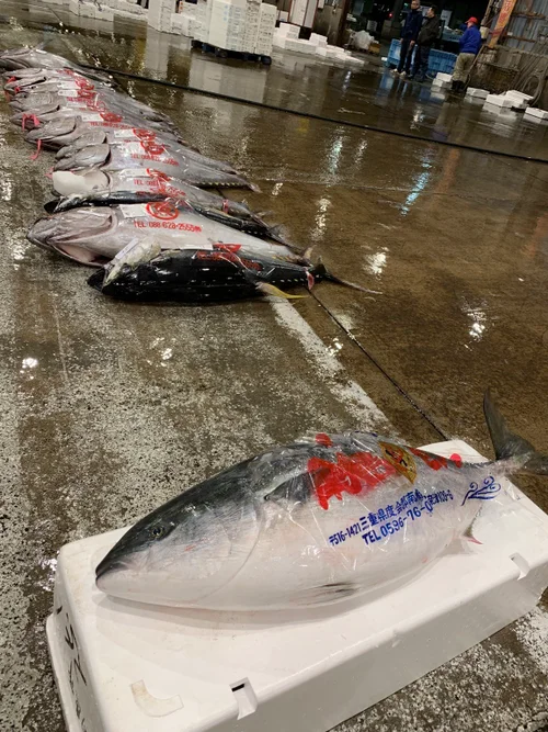マグロ派のブリ 5c8364b42400006d054b8e4a.jpeg?