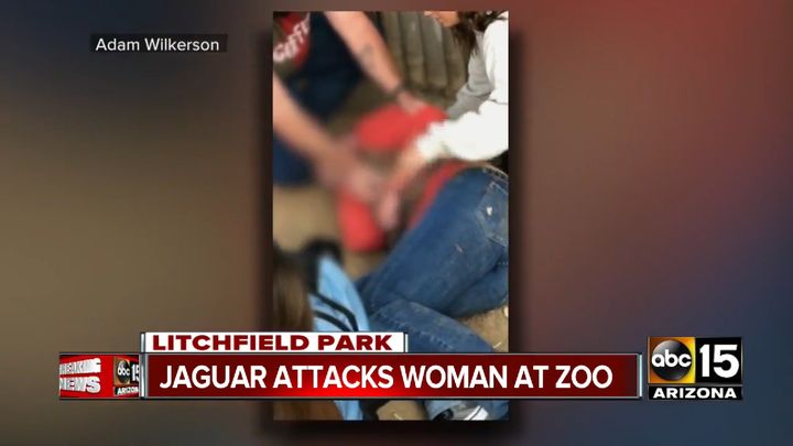 Graphic video taken by another park guest captured the woman screaming in pain after sustaining a deep wound to her arm.