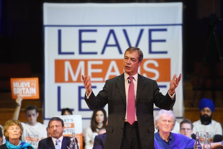 Nigel Farage, the former leader of UKIP