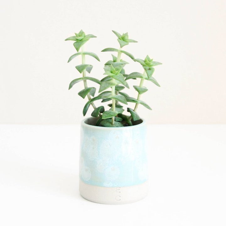 Celadon Blue Planter, Elise Ceramics, £14.50