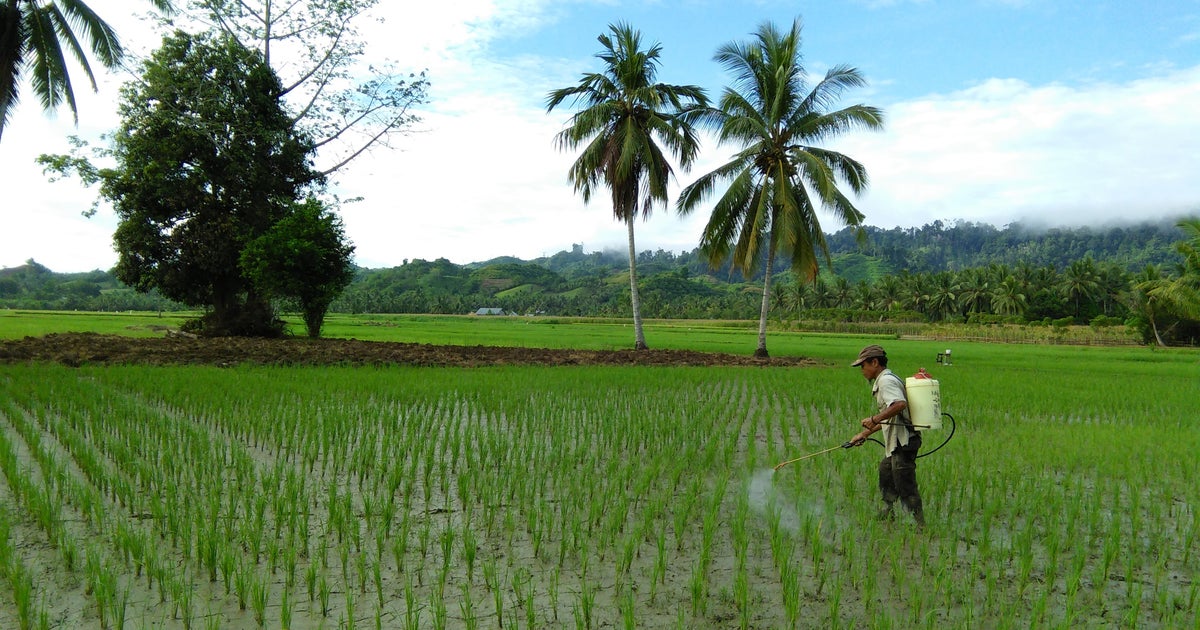 O guia prático para você entender a liberação de agroquímicos no Brasil