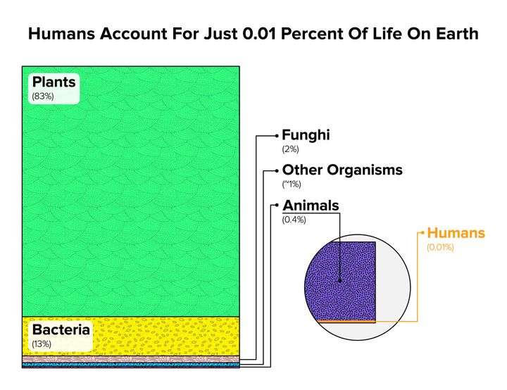 Human have had a huge impact on the world but we make up a tiny fraction of the living world. In the first ever calculation of the biomass of life on Earth, scientists found that humans make up just 0.01 percent of all living things. Source: Yinon M. Bar-On, Rob Phillips, and Ron Milo, PNAS, 2018