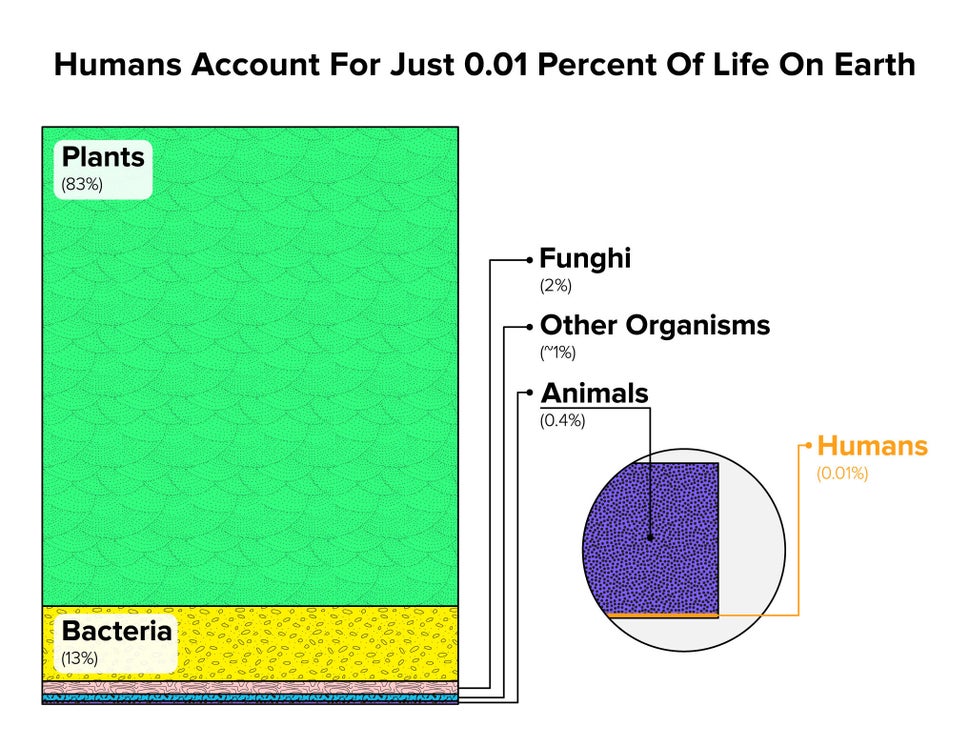 Human have had a huge impact on the world but we make up a tiny fraction of the living world. In the...