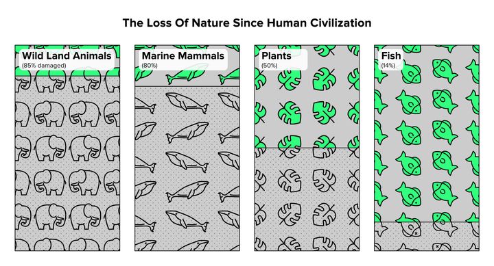 Humans have caused the loss of around 80 percent of wild land and marine mammals, and half of plants. Source: Yinon M. Bar-On, Rob Phillips, and Ron Milo, PNAS, 2018