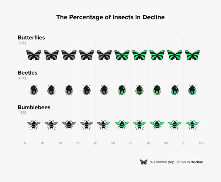 A major assessment of insect studies conducted over the last few decades found that 41 percent of insects are in decline. Source: Sánchez-Bayoa and Wyckhuy, Biological Conservation, 2019