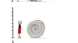 Dimensiones