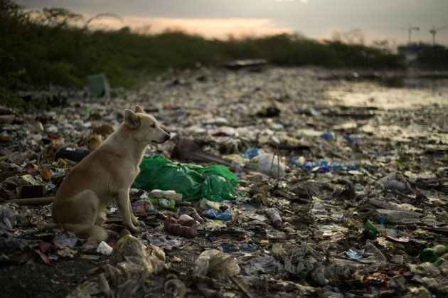 Cinco mentiras y cinco verdades sobre el plástico que destruye los