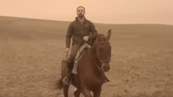 Este vídeo de Vox es lo mejor que vas a ver hoy (y los memes no se quedan