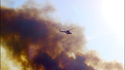 La palabra 'ecocidio', reconocida por la