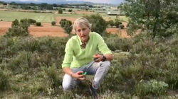 Jesús Calleja estalla: 