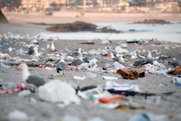 Guía rápida para disfrutar de la playa y la montaña este verano sin