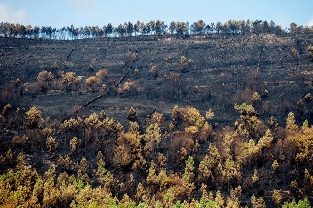 Guía rápida para disfrutar de la playa y la montaña este verano sin