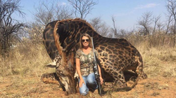Una mujer mata una jirafa negra y se exhibe junto al