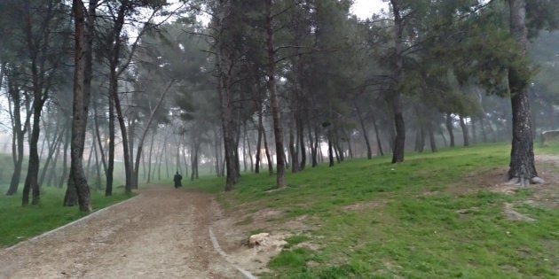 Un parque de Madrid al amanecer, un día con niebla.