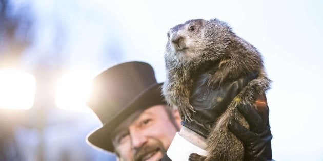 Día de la Marmota