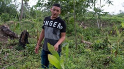 Cada semana asesinan a 4 ecologistas solo por nuestros