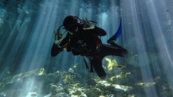 Manual para iniciarse en el