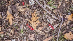 'Juernes', 'penasco', amigovio... y ahora