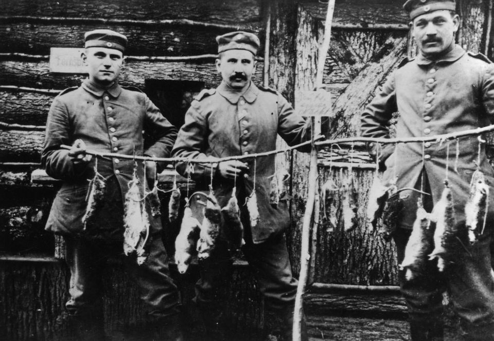 1916. Tres soldados alemanes con ratas cazadas en las trincheras durante la noche anterior