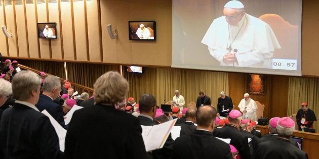 El papa reconoce que se