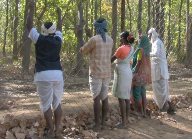 Indígenas gonds y baigas a los que se prohíbe entrar en la Reserva de Tigres de Khana, en la India, el que fue su hogar durante incontables generaciones