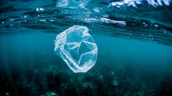 Cobrar por las bolsas en los comercios ha reducido la contaminación del