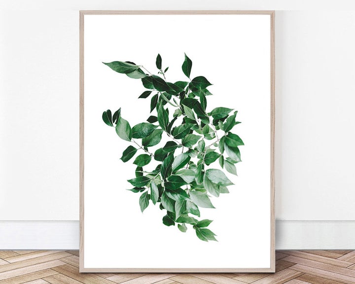 Green Wall Art Print, MIRAMAR ART, £6