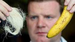 Piel de plátano, camisetas viejas y plástico reciclado para salvar el