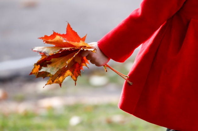 Por qué es importante la presencia del medioambiente en los