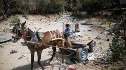 Trabajo infantil en Gaza, una lacra que no