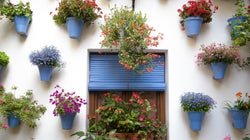 Los secretos mejor guardados de los Patios de