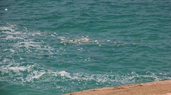 Estas terribles imágenes de playas paradisíacas no te dejarán
