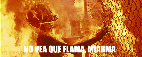 Once palabras que deberíamos importar del