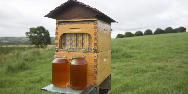 Tazorkis Beehive