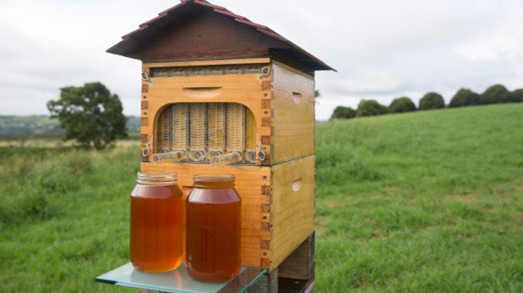 Улей фото. Улей Flow Hive. Flow Hive Honey ульи. Бихайв («пчелиный улей»).. Ульи local Bee Hive.