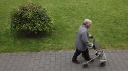 ¿Cuál es la edad máxima hasta la que un humano puede