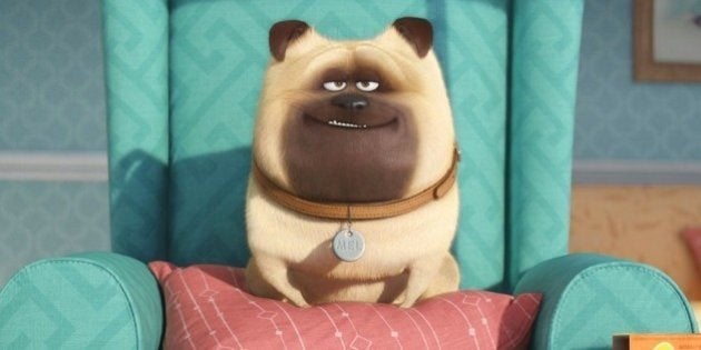 Estrenos de cine: por qué ver 'Mascotas' y 'Escuadrón