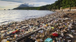 Podemos convertirnos en barrenderos de nuestras