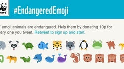 ¿Quieres ayudar a salvar el planeta? Usa estos