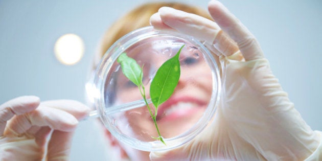 La Agencia Estatal de Investigación, una herramienta