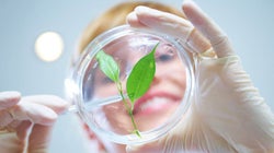 La Agencia Estatal de Investigación, una herramienta