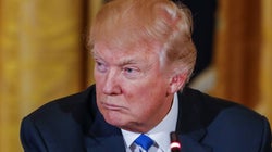 Trump y