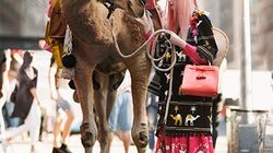 ¿Quien comprará Kate