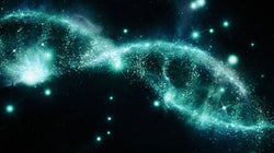 El descubrimiento sobre las células que puede detener el envejecimiento y acercarnos más a