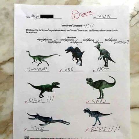 Dinosaurios y