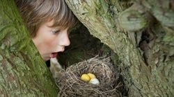 Dejad que los niños se acerquen a la