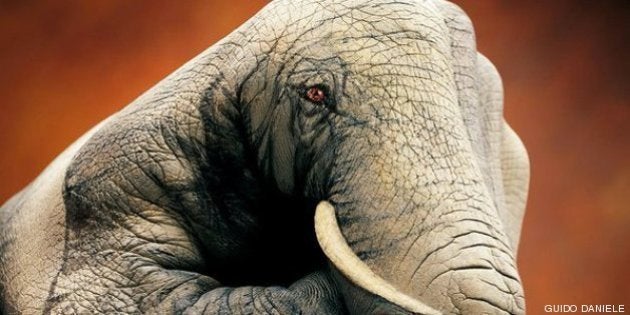 Pintura corporal: retratos realistas de animales en manos